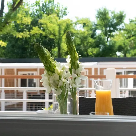 Europa Silvella Vakantiepark 5*